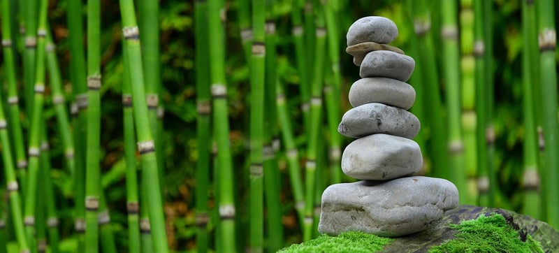 Meditation Gardens