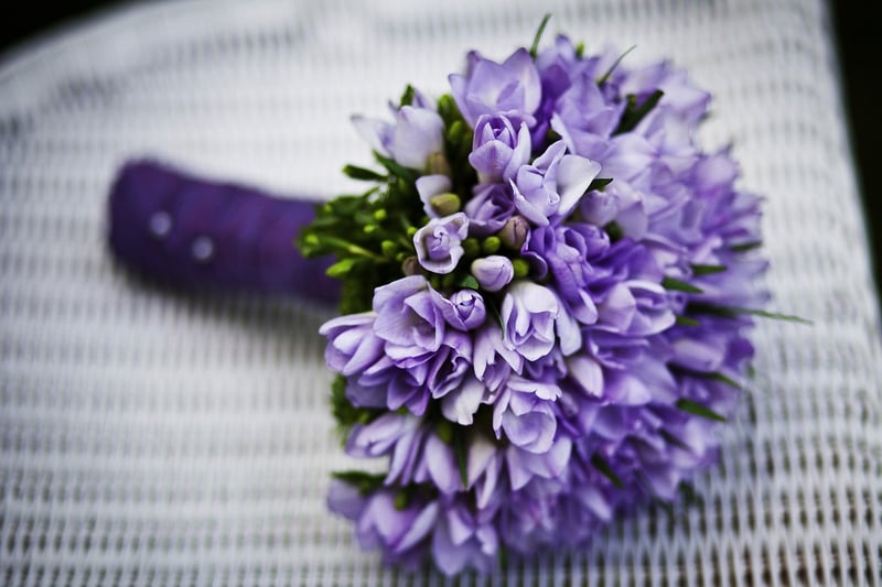 Summer Flowers