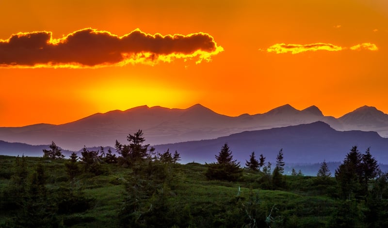 Summer Sunset