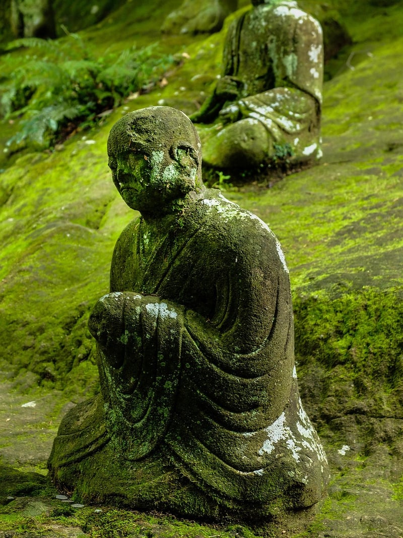 Tranquil Garden